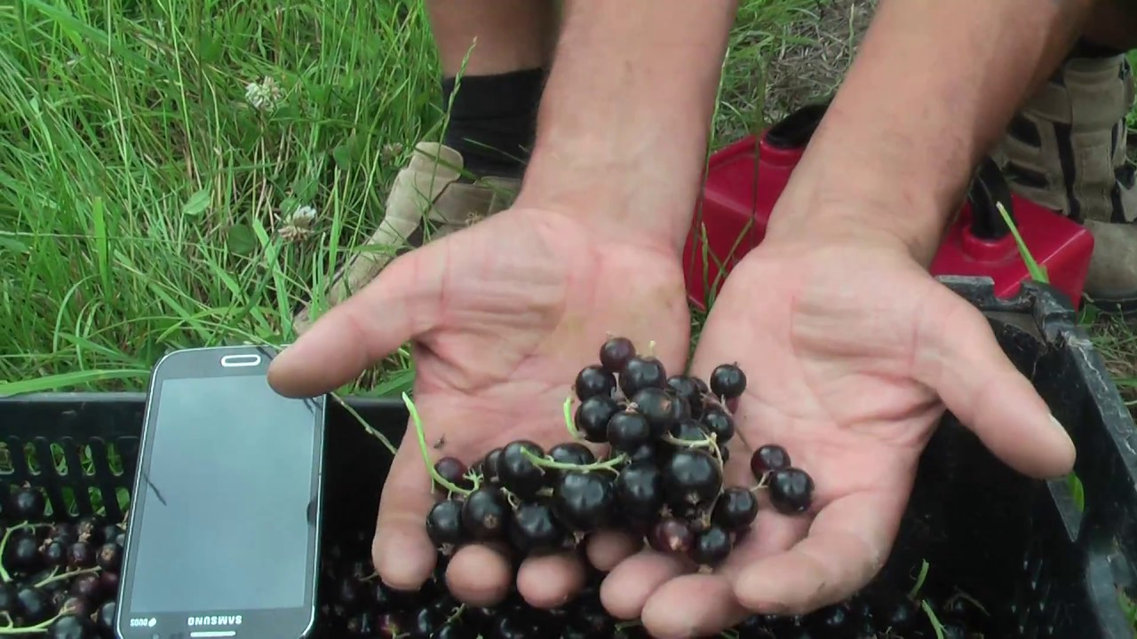 Орыс порно 1080p4