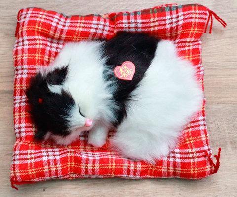 Түрмедегі порно фильмдер