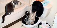 Система для приучения кошек к унитазу CitiKitty Cat Toilet Training Kit, фото 6