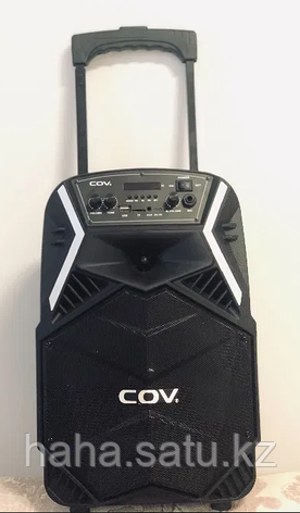 Колонка COV CV-H8, фото 2
