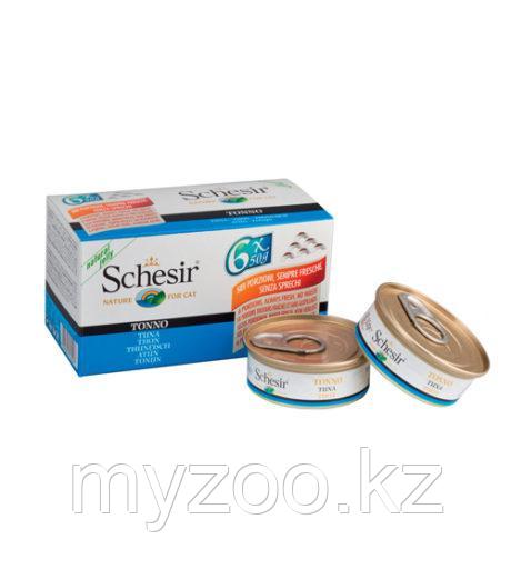 Schesir Шезир консервы для кошек ТУНЕЦ 50гр*6шт
