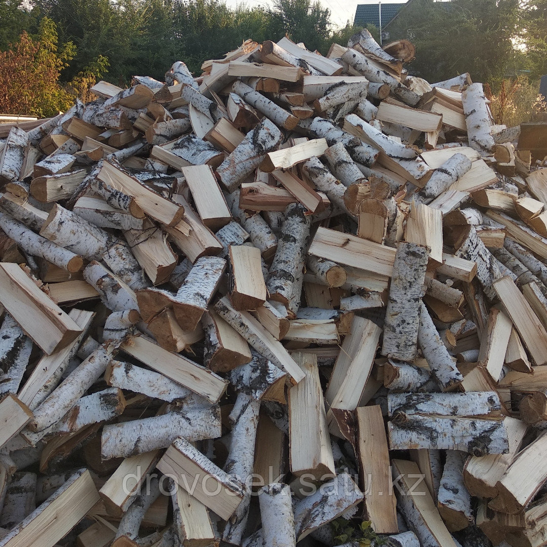 Дрова березовые сухие в Алматы, кубами и в мешках - фото 1 - id-p71911142