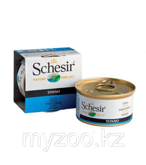 Schesir Шезир банка для кошек ТУНЕЦ в желе 85 гр
