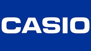 Зарядное устройство для Casio