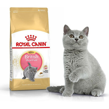 Роял Канин для котят британской короткошерстной Сухой корм, 2 кг