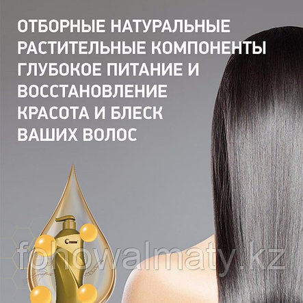 Смягчающий шампунь Fohow с кордицепсом предотвращает сухость, ломкость волос, защищает фолликулы, питает корни, фото 2