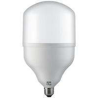 Светодиодная лампа Torch-80 Watt
