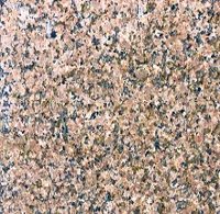 Гранит Жельтау, 60х30