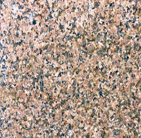 Гранит Жельтау, 60х60