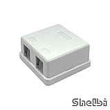 Shelbi Настенная пластиковая коробка 2-портовая, для модулей, фото 6