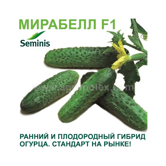 Огурец Мирабелла F1 1000 шт Seminis