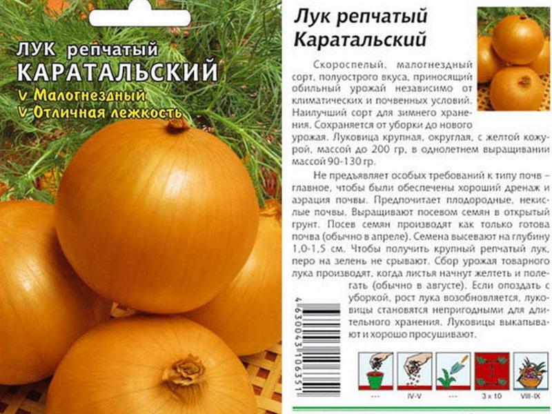 Лук репчатый Каратальский 1г