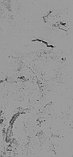 ЛДСП SYNCRON OSIRIS PLATA FE  2750*1240*18мм, фото 2