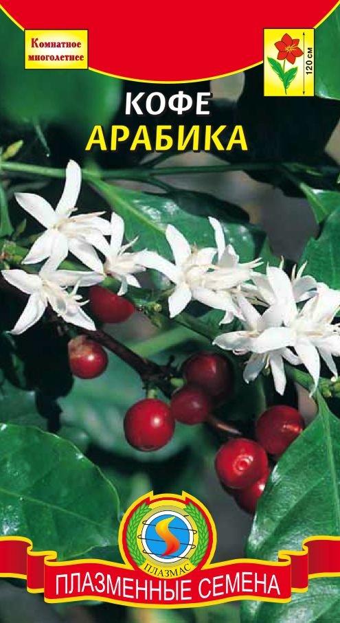 Кофе Арабика 2шт
