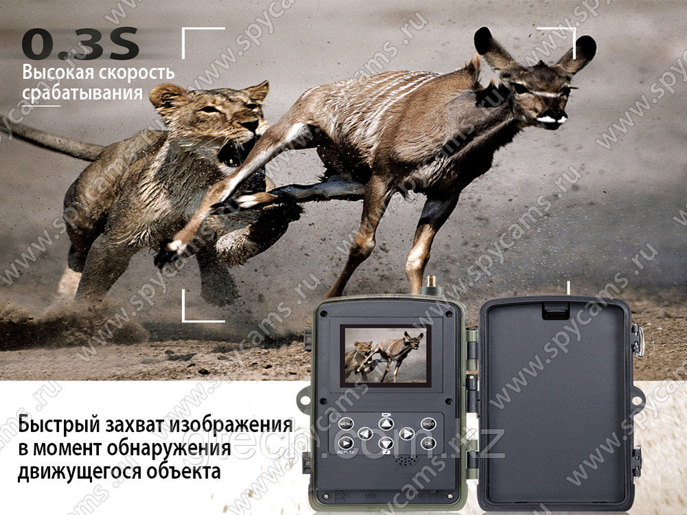 Фотоловушка Suntek Филин HC-801 LTE-Li-4G - фото 6 - id-p72390188