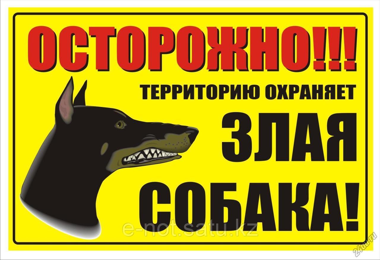 Злая собака предложение. Осторожно, злая собака!. осторожная злая собака табличка. вывеска &quot;злая собака&quot;. надпись осторожно злая собака.