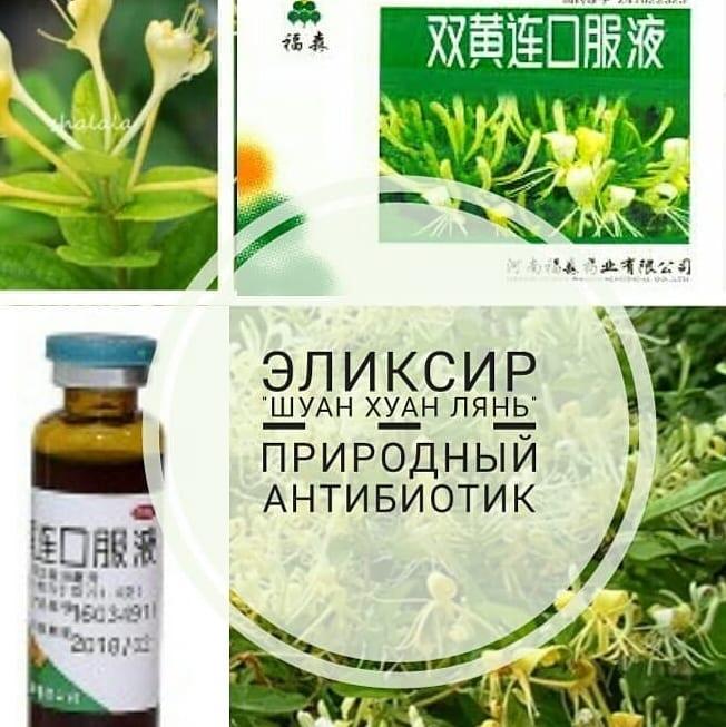 Эликсир "Шуан Хуан Лянь" Природный антибиотик. Лучшее средство от вирусов (Shuang Huang Lian).