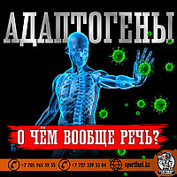 Адаптогены - иммуностимуляторы и Ваш организм