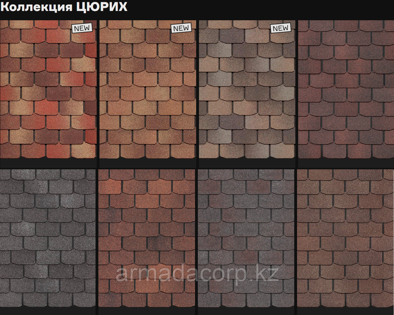 Черепица Premium Цюрих (Арахис,кофе,чили, фладен, изюм, мускат, вагаси