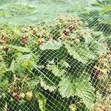 Сетка от птиц У-6, фото 3