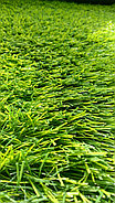 Искусственный газон 40мм 10000Dtex, фото 3