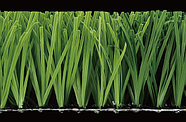 Искусственный газон с сертификатом (FIFA) 50мм, фото 7