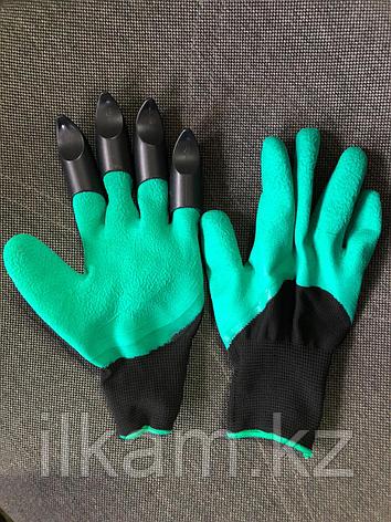 Перчатки огородника, фото 1