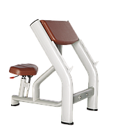 Скамья Скотта BRONZE GYM H-040A