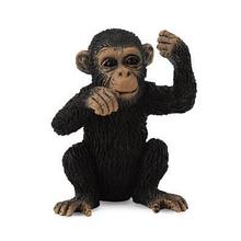 Фигурка Collecta Детеныш шимпанзе (S)
