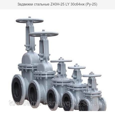 Задвижки стальные (Ру-25) 30с64нж