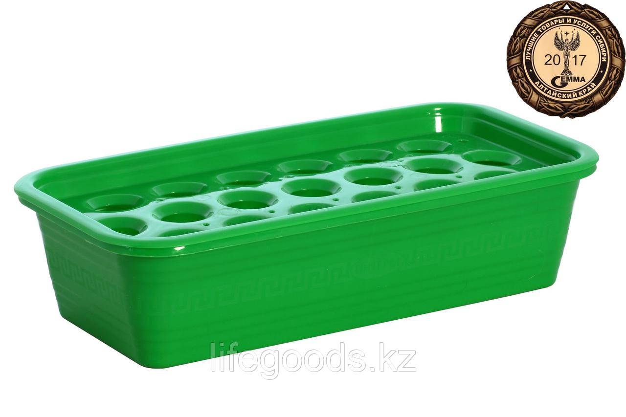 Ящик пластиковый 380*190*95 с лотком для выращивания лука (19 ячеек) С13