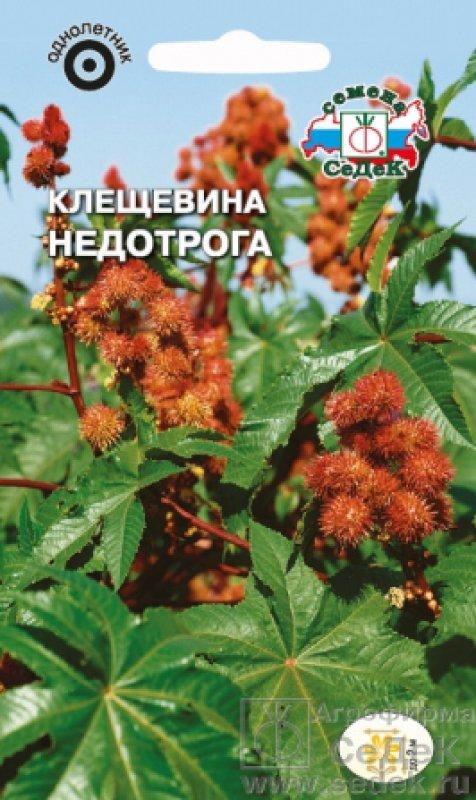 Клещевина Недотрога 2г
