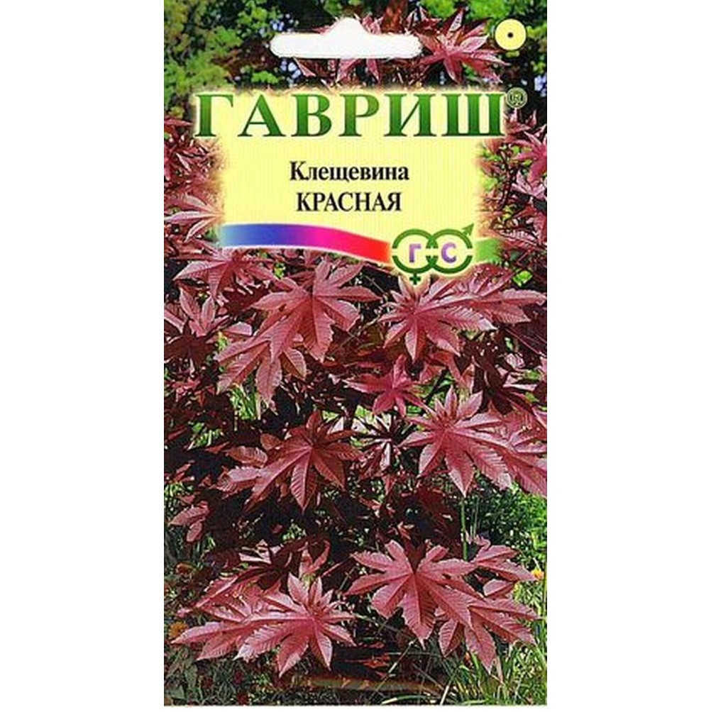 Клещевина обыкновенная Красная 5шт