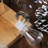 Подарочный набор для приготовления алкоголя «Пряный виски»: набор трав и специй, штоф 500 мл, фото 2