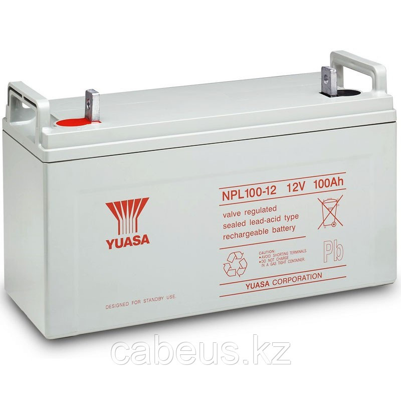 Аккумуляторная батарея Yuasa NPL 100-12