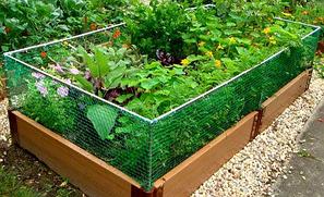 Садовые сетки