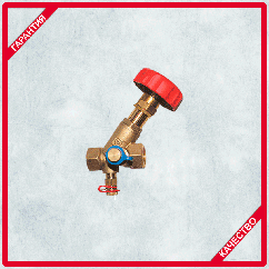 Запорный клапан с наклонным шпинделем 4115A Герц (HERZ)