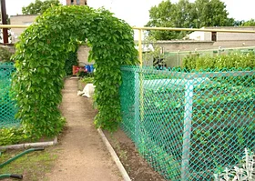 Садовые пластиковые сетки и решетки