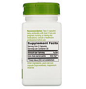 Nature's Way, Готу кола, 950 мг, 100 веганских капсул, фото 2