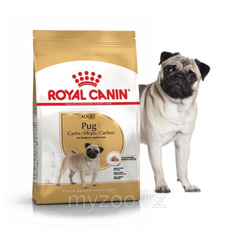 Корм для взрослых собак породы мопс PUG 25 МОПC 1,5 kg