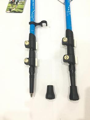 Палки для скандинавской ходьбы Exponent с неопреновой ручкой. (длина 135 см), фото 2