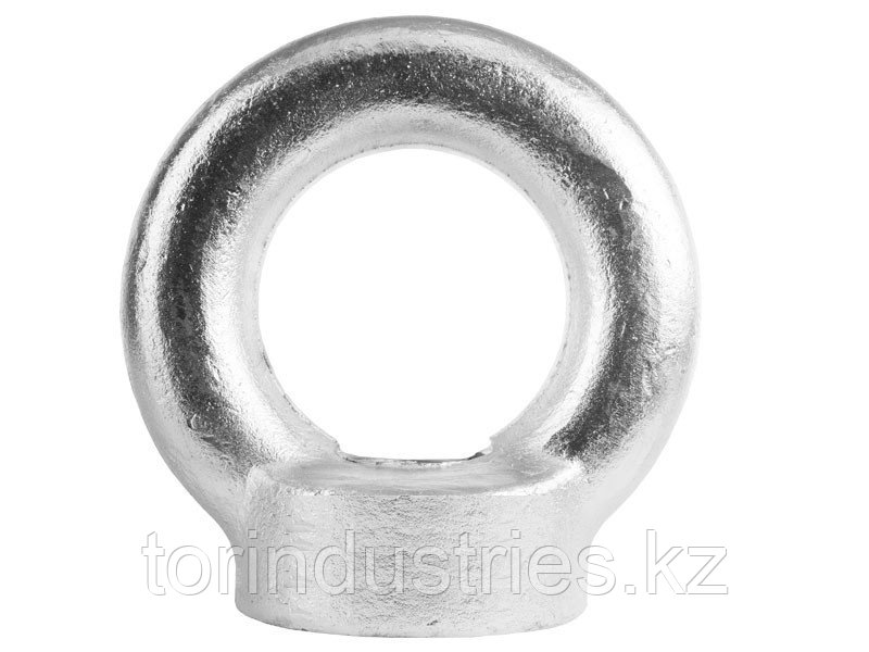 РЫМ-ГАЙКА TOR DIN 582 20ММ