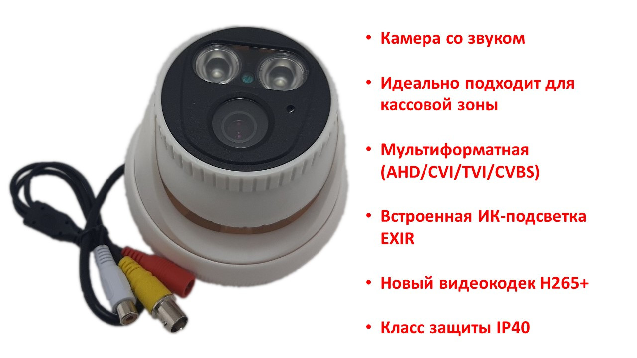 Мультиформатная 2.0 Mpx камера видеонаблюдения со звуком для кассовой зоны, MV2DP17 - фото 1 - id-p73408036