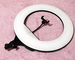 Кольцевая светодиодная лампа 46 см LED RING YQ-480B Штатив в комплекте, фото 2