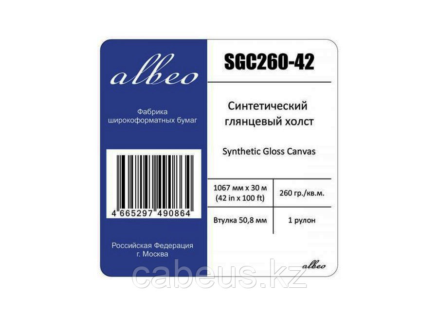 Холст Albeo Synthetic Gloss Canvas 42 1.067x30 (260 г/м2) (SGC260-42) - фото 1 - id-p73489292