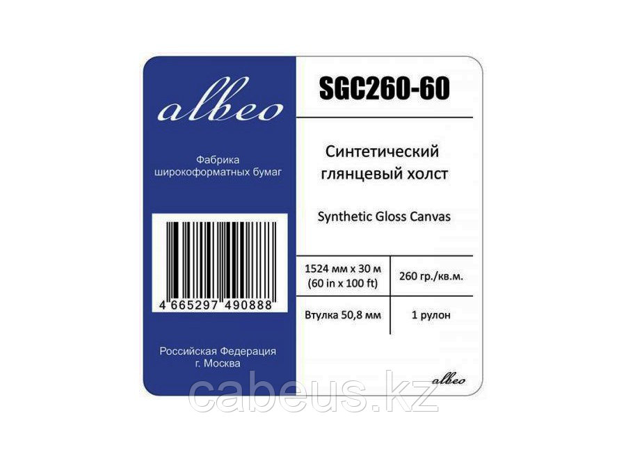 Холст Albeo Synthetic Gloss Canvas 50 1.524x30 (260 г/м2) (SGC260-60) - фото 1 - id-p73489302