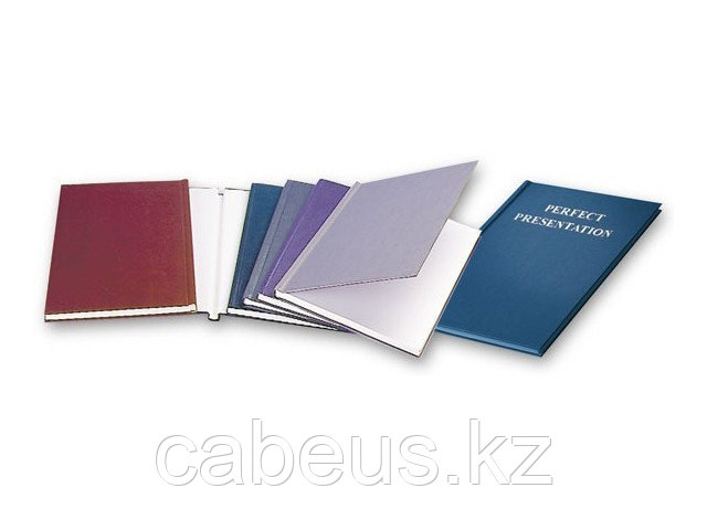 Твердая обложка Opus O.DIPLOMAT, картон, А4, 6 мм, белая - фото 1 - id-p73489369