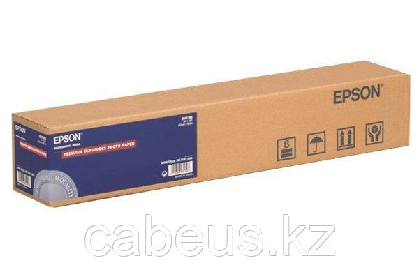 Рулонная бумага с покрытием Epson Premium Semigloss Photo Paper 60 166 г/м2, 1.524x30.5 м, 50.8 мм - фото 1 - id-p73489432
