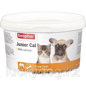 Beaphar Junior Cal (Беофар) Витамины для щенков и котят, 200г - фото 2 - id-p24143764