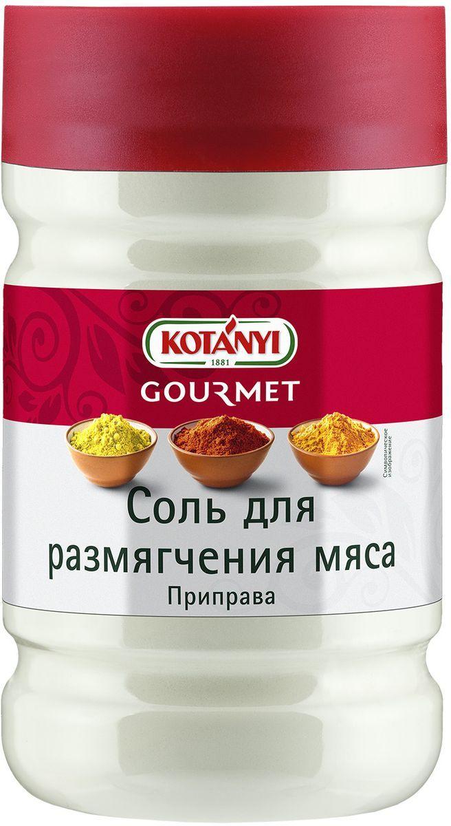 Приправа Соль для размягчения мяса, KOTANYI, 1200 мл